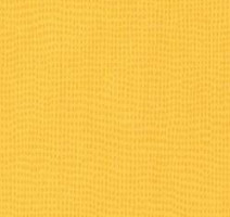 Линолеум Taralay Initial Comfort 0596 Mimosa фото 1 | FLOORDEALER